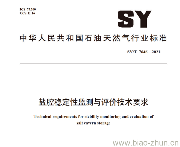 SY/T 7646—2021 盐腔稳定性监测与评价技术要求